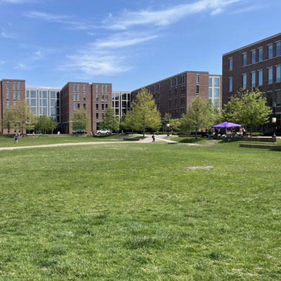 Krach Lawn